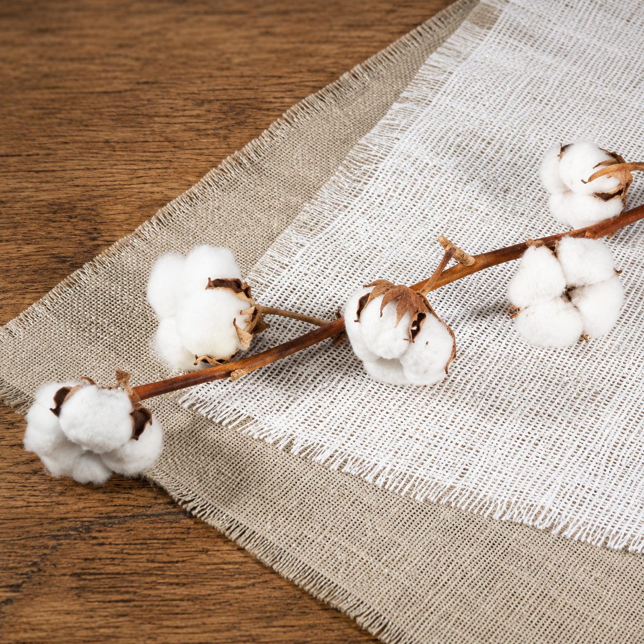 Organic Cotton